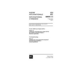 IEC 60695-1-1 Ed. 3.0 b:1999