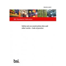BS 8411:2019